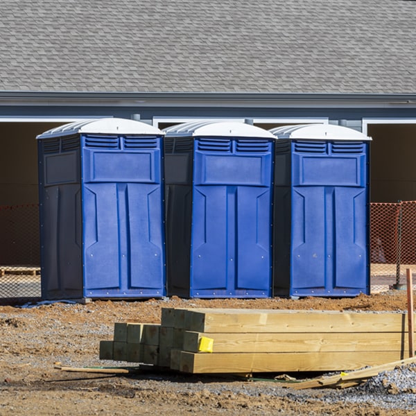 do you offer hand sanitizer dispensers inside the portable restrooms in Bass Lake Wisconsin